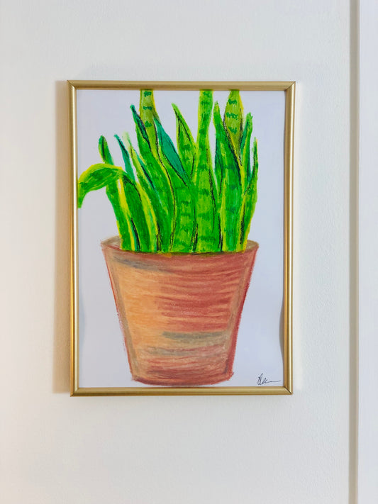 Mother-In-Laws Tongue, A4 Unframed Original Oil Pastel Artwork